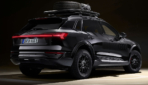 Audi-Q8-e-tron-edition-Dakar-2024-2