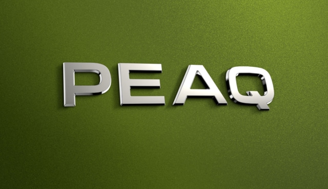 Skoda-Peaq-Emblem